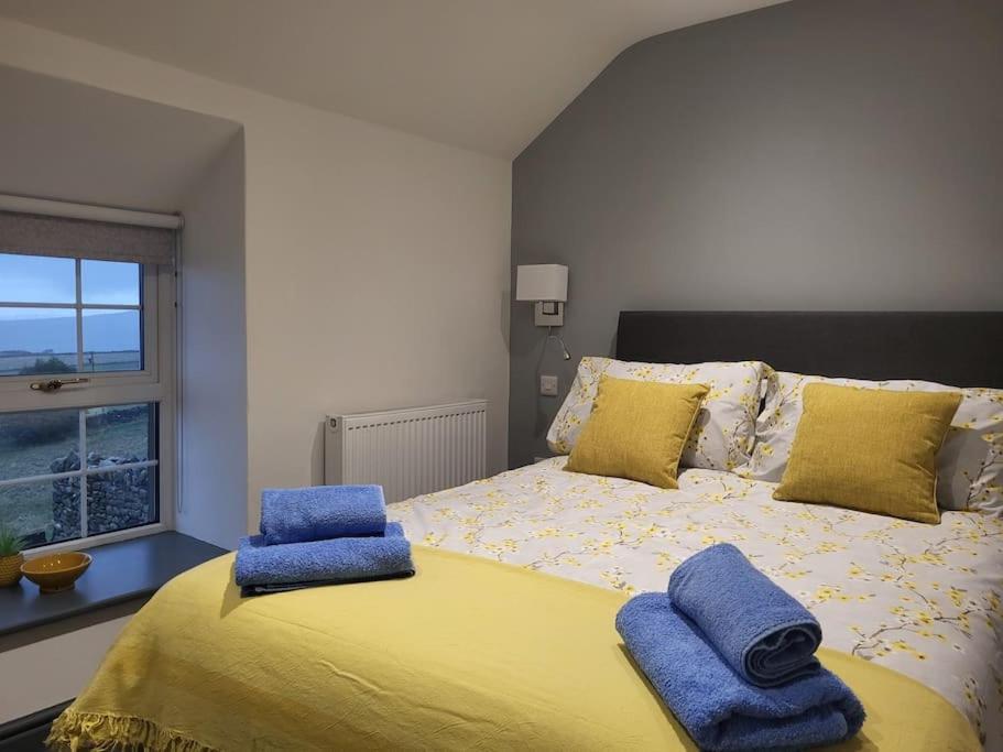 Villa Amazing Coastal & Sunset Views In Eryri à Llanllyfni Extérieur photo